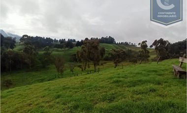 Venta Finca El Despiste Bello