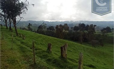 Venta Finca El Despiste Bello