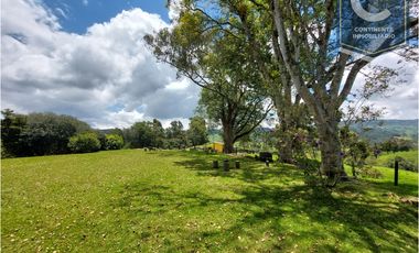 Venta Finca El Despiste Bello