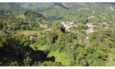 Lote en Heliconia, Vereda Joli