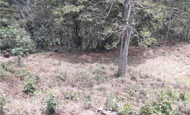 Lote en Heliconia, Vereda Joli