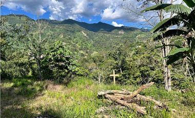 Lote en Heliconia, Vereda Joli