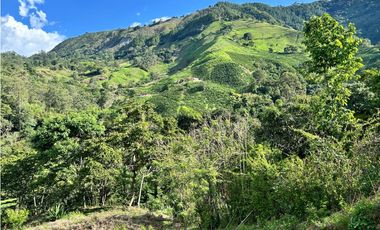 Lote en Heliconia, Vereda Joli