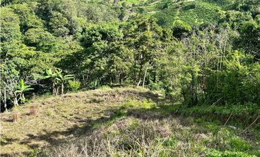 Lote en Heliconia, Vereda Joli
