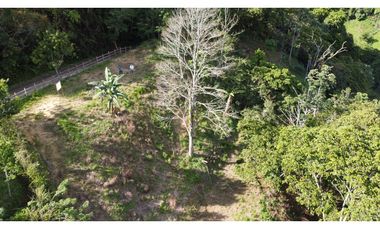 Lote en Heliconia, Vereda Joli