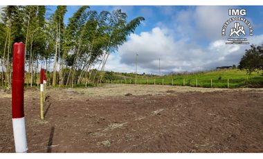 ref 968a p9 la merced callejón los guaduales/vendo lotes campestres