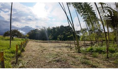 ref 968a p9 la merced callejón los guaduales/vendo lotes campestres