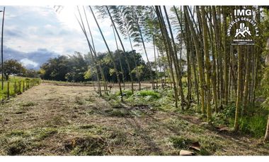 ref 968a p9 la merced callejón los guaduales/vendo lotes campestres