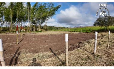 ref 968a p9 la merced callejón los guaduales/vendo lotes campestres