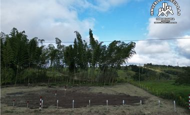 ref 968a p9 la merced callejón los guaduales/vendo lotes campestres