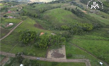 ref 968a p9 la merced callejón los guaduales/vendo lotes campestres