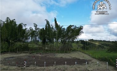 ref 968a p8 la merced callejón los guaduales/vendo lotes campestres