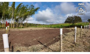 ref 968a p8 la merced callejón los guaduales/vendo lotes campestres