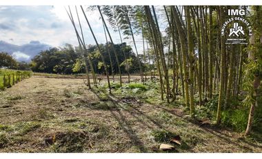 ref 968a p8 la merced callejón los guaduales/vendo lotes campestres