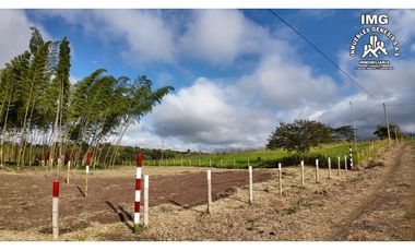 ref 968a p8 la merced callejón los guaduales/vendo lotes campestres