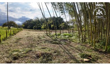 ref 968a p7 la merced callejón los guaduales/vendo lotes campestres