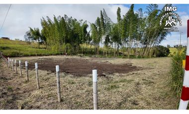 ref 968a p7 la merced callejón los guaduales/vendo lotes campestres