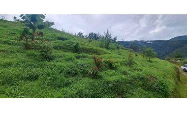 Se Vende lote en Caldas Antioquia