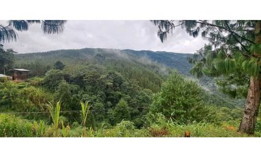 Se Vende lote en Caldas Antioquia