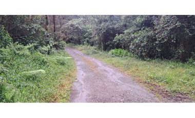 Se Vende lote en Caldas Antioquia