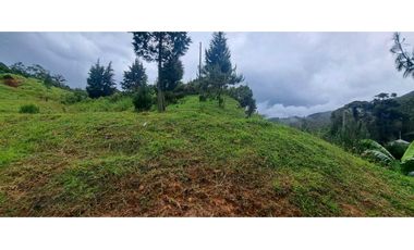 Se Vende lote en Caldas Antioquia