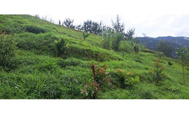 Se Vende lote en Caldas Antioquia