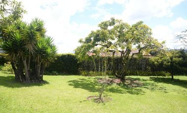 FINCA EN VENTA VEREDA LOS GARZONAS - CARMEN DE VIBORAL