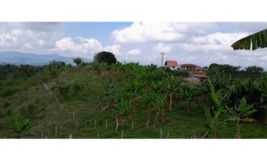SE VENDE FINCA EN ALCAL VALLE EN LA VEREDA LA CAÑA DE 10.3  CUADRAS