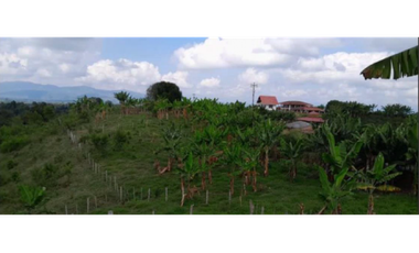 SE VENDE FINCA EN ALCAL VALLE EN LA VEREDA LA CAÑA DE 10.3  CUADRAS