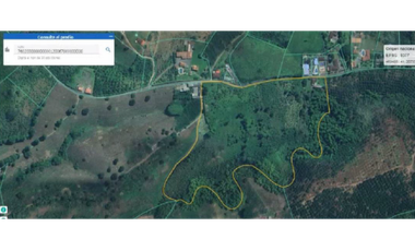 SE VENDE FINCA EN ALCAL VALLE EN LA VEREDA LA CAÑA DE 10.3  CUADRAS