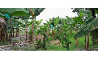 SE VENDE FINCA EN ALCAL VALLE EN LA VEREDA LA CAÑA DE 10.3  CUADRAS