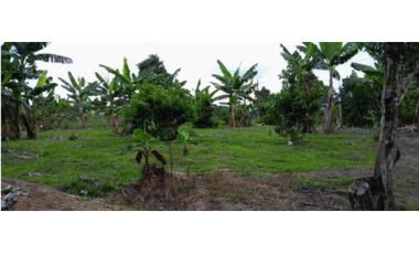 SE VENDE FINCA EN ALCAL VALLE EN LA VEREDA LA CAÑA DE 10.3  CUADRAS