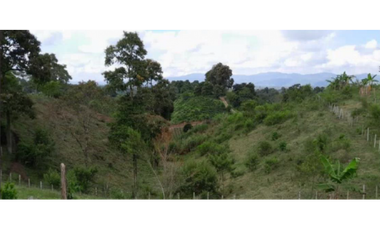 SE VENDE FINCA EN ALCAL VALLE EN LA VEREDA LA CAÑA DE 10.3  CUADRAS
