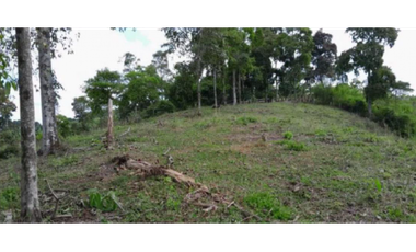 SE VENDE FINCA EN ALCAL VALLE EN LA VEREDA LA CAÑA DE 10.3  CUADRAS