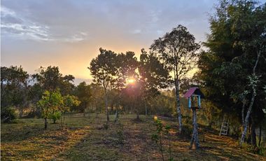 VENDO HERMOSA FINCA EN SAN VICENTE-FERRER