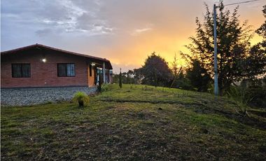 VENDO HERMOSA FINCA EN SAN VICENTE-FERRER
