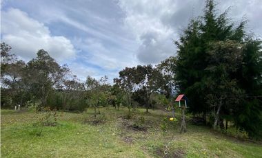 VENDO HERMOSA FINCA EN SAN VICENTE-FERRER 250028