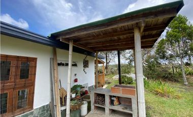 VENDO HERMOSA FINCA EN SAN VICENTE-FERRER 250028