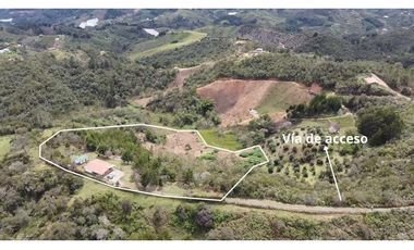 VENDO HERMOSA FINCA EN SAN VICENTE-FERRER 250028