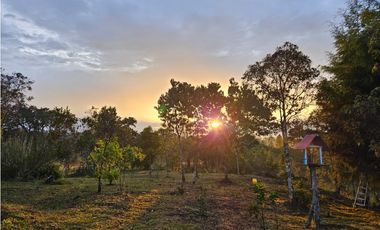 VENDO HERMOSA FINCA EN SAN VICENTE-FERRER