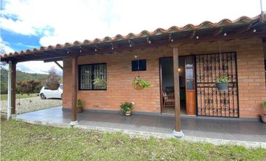 VENDO HERMOSA FINCA EN SAN VICENTE-FERRER