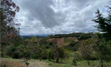 VENDO HERMOSA FINCA EN SAN VICENTE-FERRER 250028