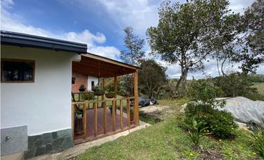 VENDO HERMOSA FINCA EN SAN VICENTE-FERRER
