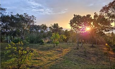 VENDO HERMOSA FINCA EN SAN VICENTE-FERRER
