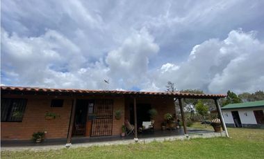 VENDO HERMOSA FINCA EN SAN VICENTE-FERRER 250028