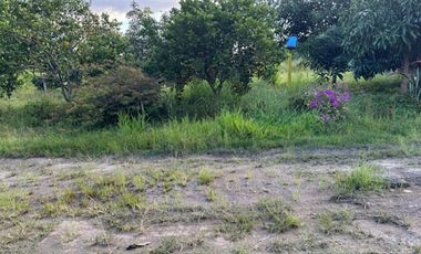 VENTA de CASA LOTE en GARZON