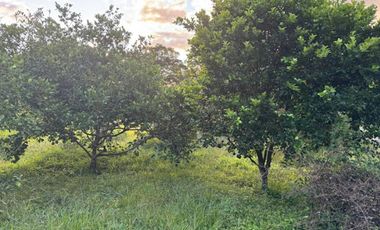 VENTA de CASA LOTE en GARZON