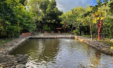 VENTA de CASA LOTE en GARZON