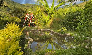 VENTA de CASA LOTE en GARZON