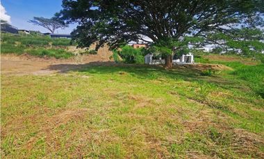 LOTE EN VENTA, CERRITOS, PEREIRA, RISARALDA